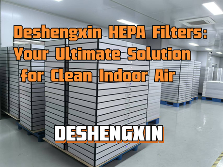 HEPA DSX.jpg
