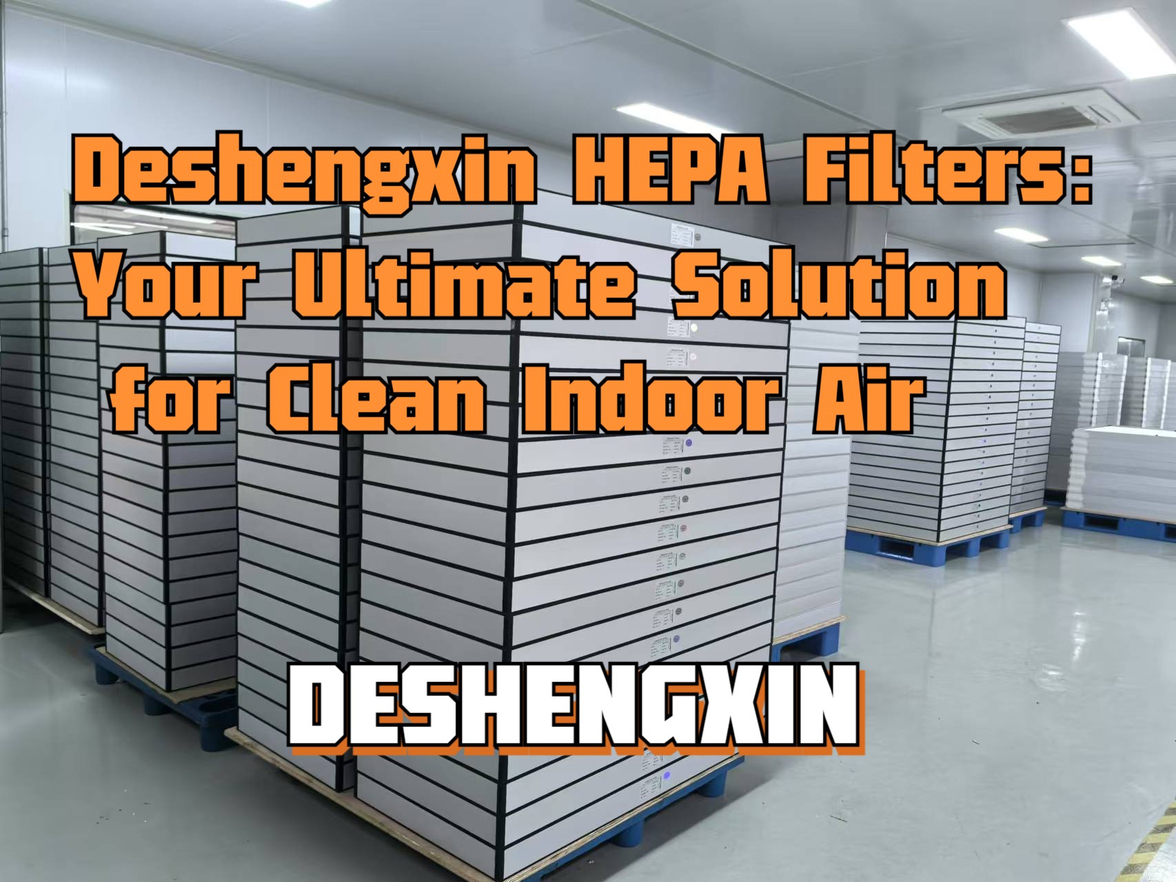 HEPA DSX.jpg